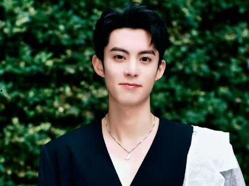 吃瓜娱乐圈王鹤棣,娱乐圈的瓜田新秀，星光璀璨的蜕变之路